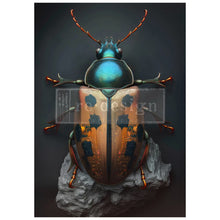 Load image into Gallery viewer, A1 REDESIGN DECOUPAGE FIBRE - BRASS SCARAB (LIMITED RELEASE)
