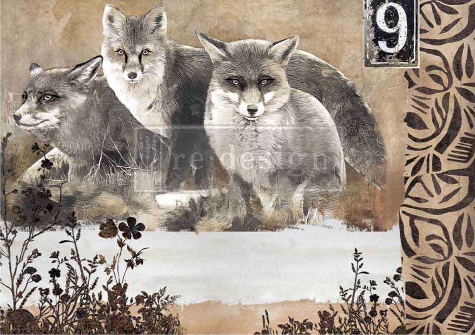 A1 REDESIGN DECOUPAGE FIBRE - CALM FOXES (LIMITED RELEASE)