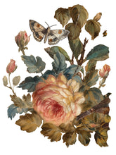 Load image into Gallery viewer, JOIE DES ROSES IOD TRANSFER 12×16 PAD™
