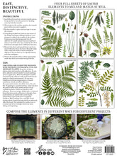 Load image into Gallery viewer, FRONDS BOTANICAL IOD TRANSFER 12×16 PAD™

