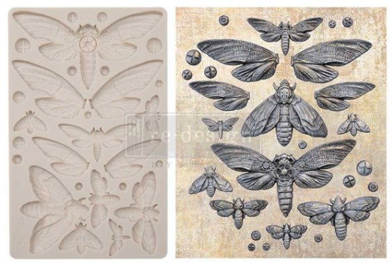 FINNABAIR – MOULDS – NOCTURNAL INSECTS