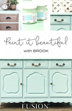 Load image into Gallery viewer, Fusion Mineral Paint ~ Brook
