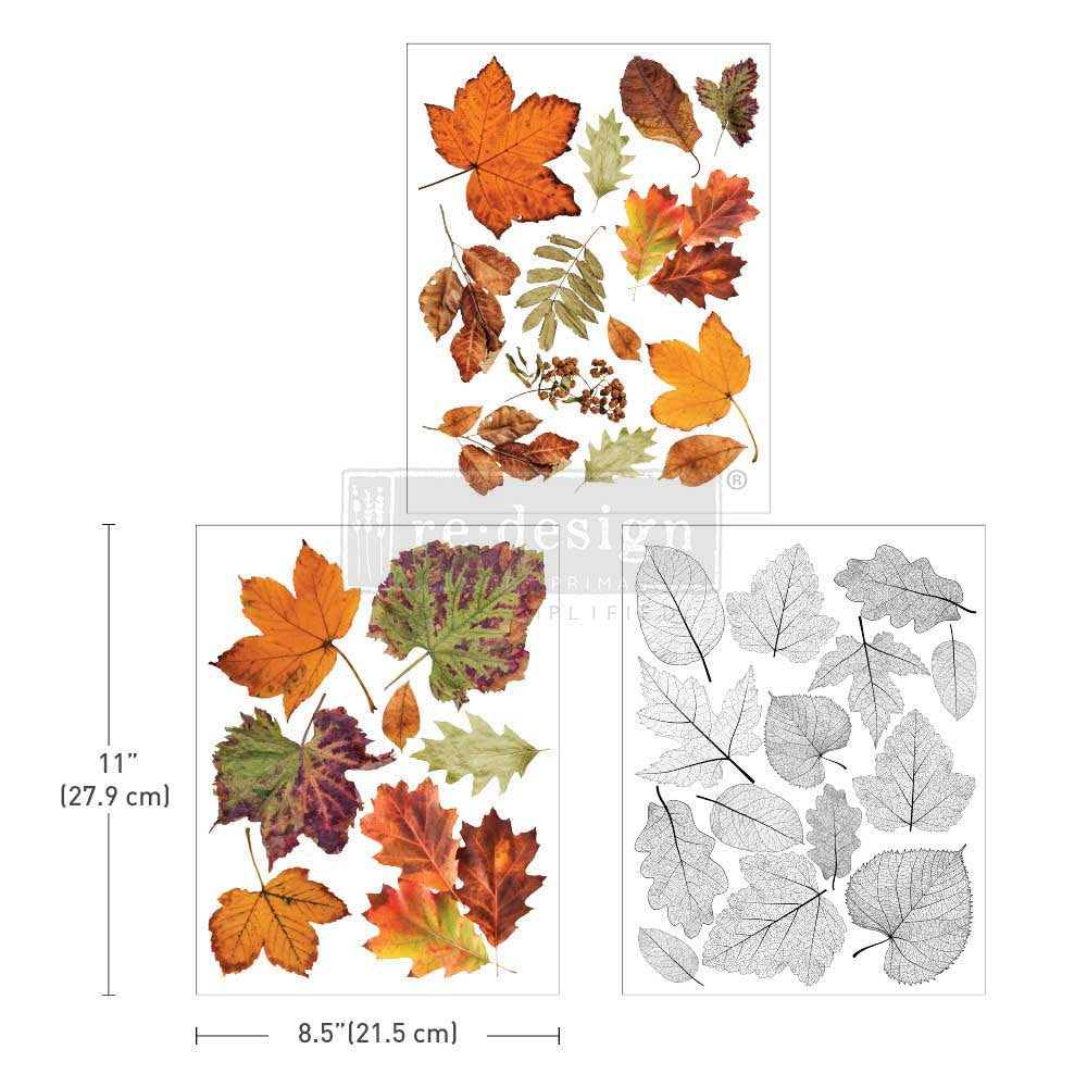 Redesign Transfer Middy ~ CRUNCHY LEAVES FOREVER – 3 SHEETS, 8.5″X11″