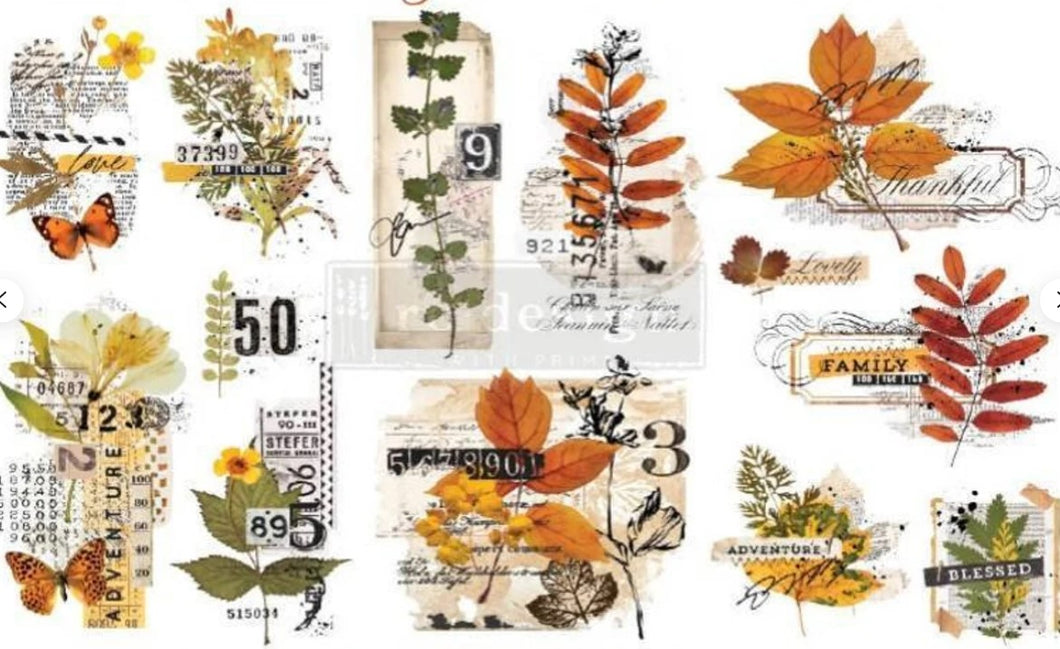 Redesign Transfer ~ FOLIAGE COLLECTOR – 3 SHEETS, 6″X12″