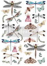 Load image into Gallery viewer, Redesign Transfer ~ RIVERBED DRAGONFLIES (D)
