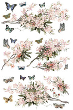 Load image into Gallery viewer, Redesign Transfer ~ BLOSSOM BOTANICA
